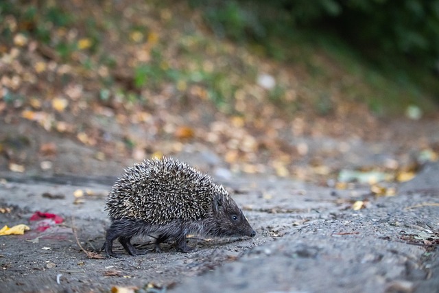 李玮锋：做青训我是下定决心的；苏超最重要的是给年轻人舞台